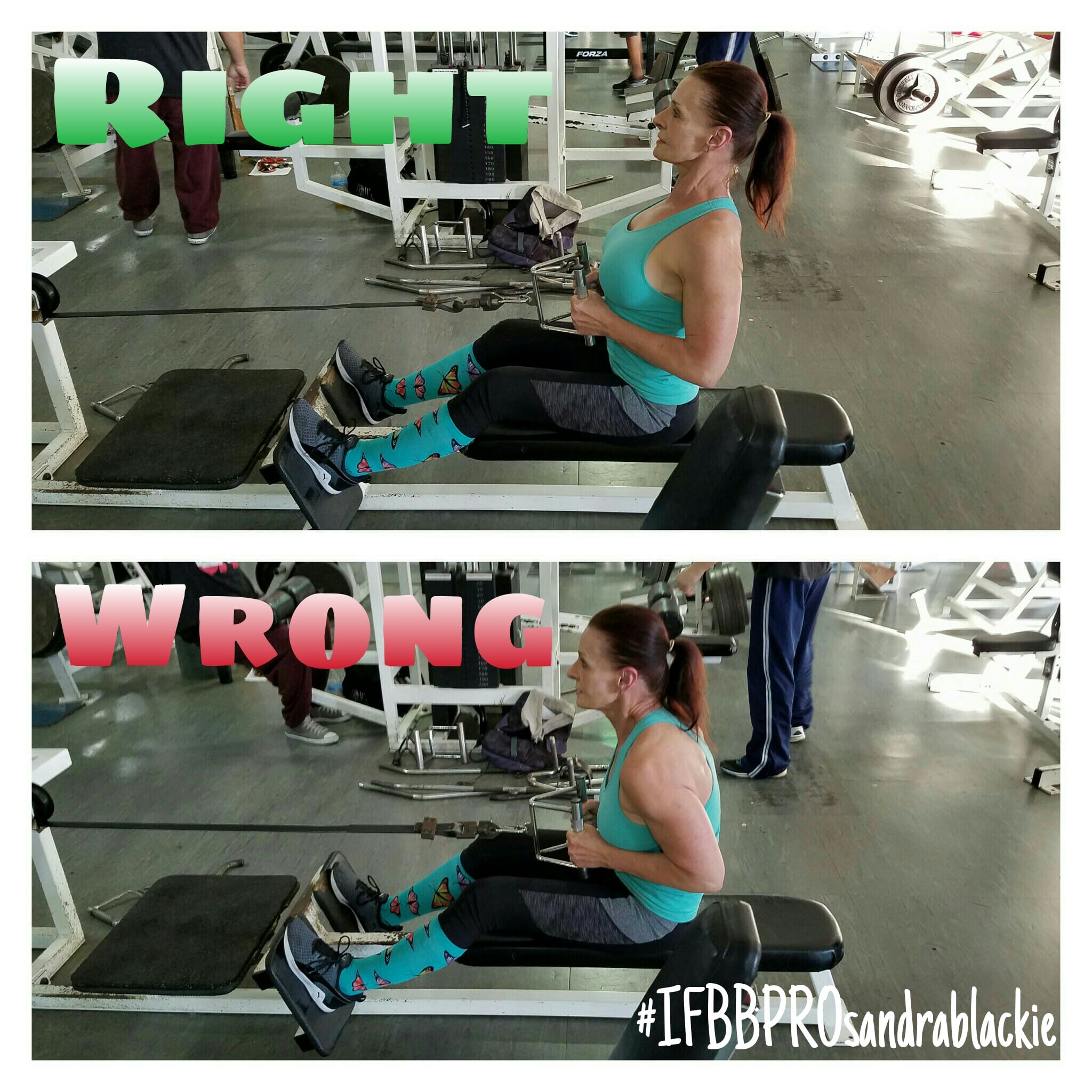 Seated Cable Row Exercise2048 x 2048